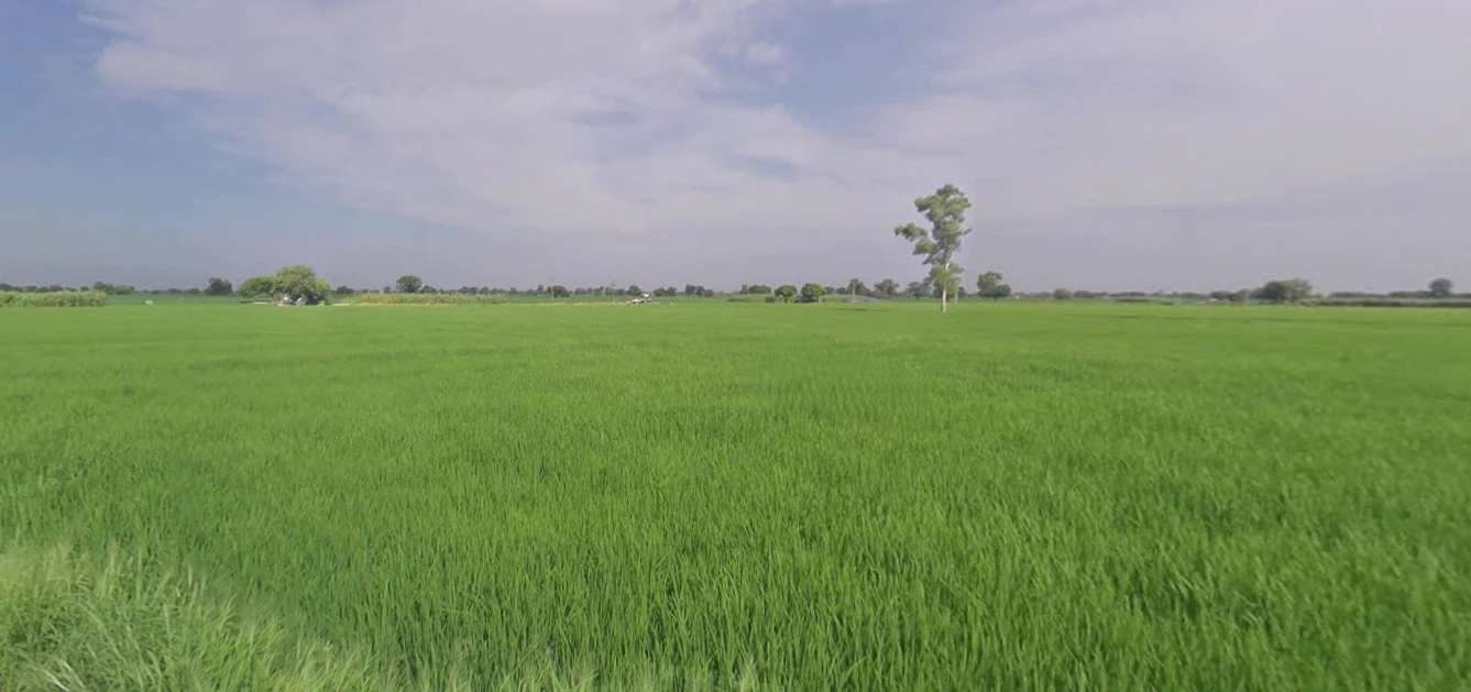 Malout, Punjab 152107, India