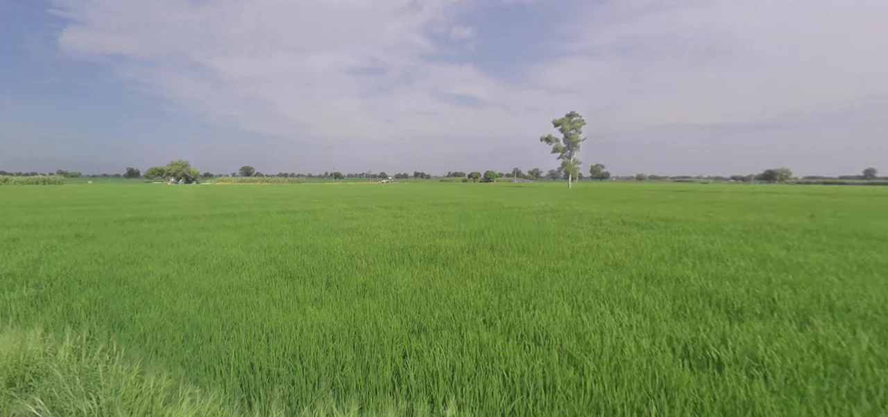 Malout, Punjab 152107, India preview 3