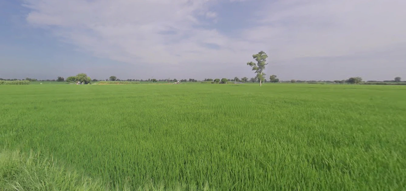 Malout, Punjab 152107, India