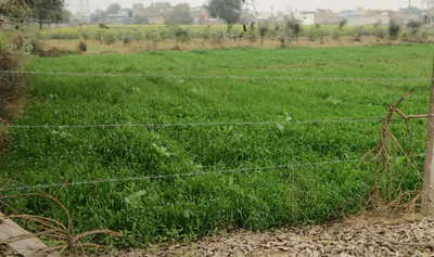 Nurpur Bedi, Punjab 140117, India preview 3