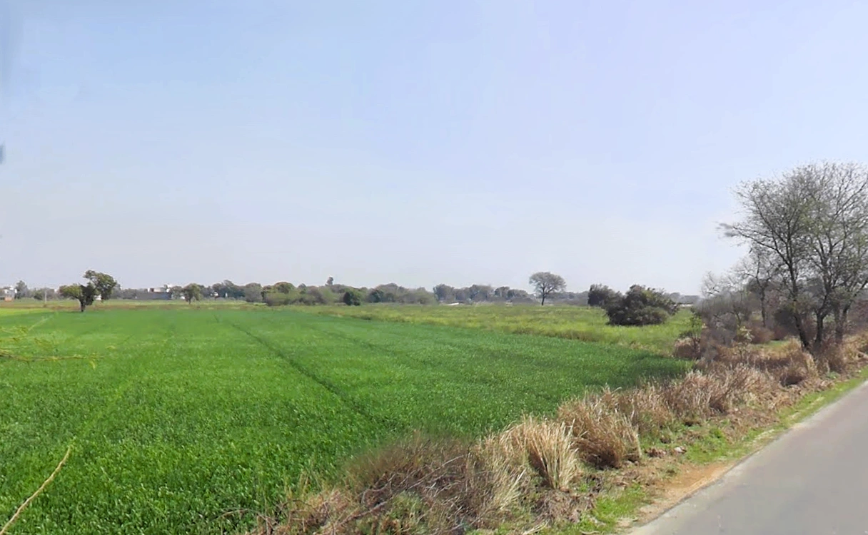 Zahidpur, Haryana 124103, India