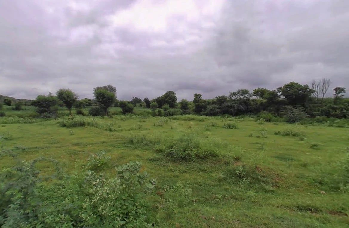 Nathdwara, Rajasthan 313301, India