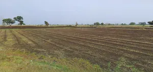 Harda, Madhya Pradesh 461331, India preview 2