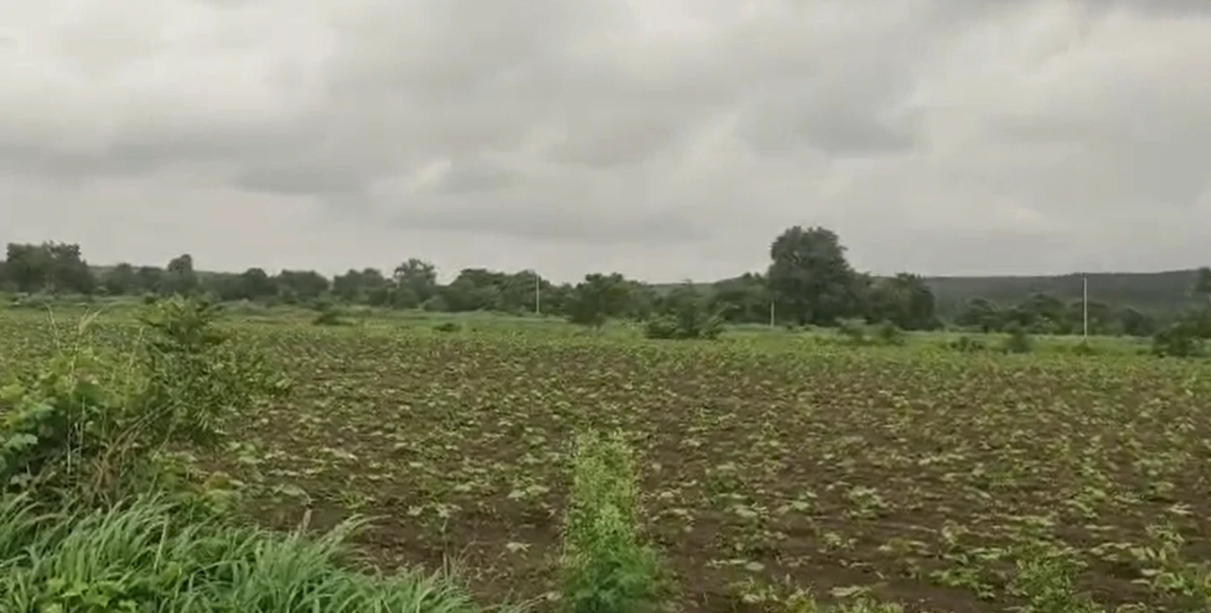3JQV+5F Ladella, Hanumakonda, Telangana, India