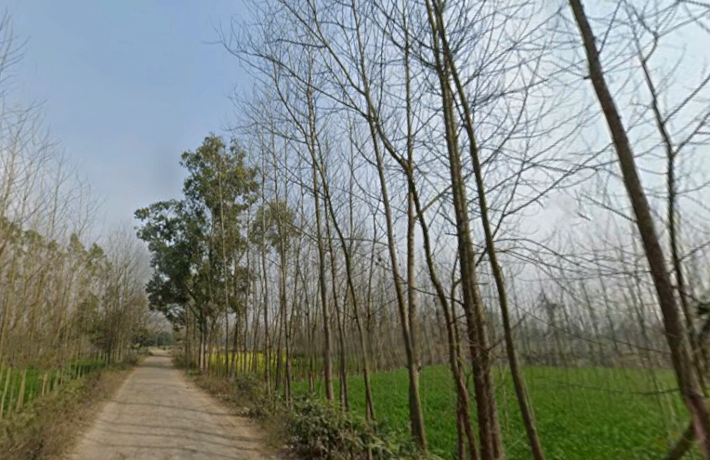 Behat, Uttar Pradesh 247121, India