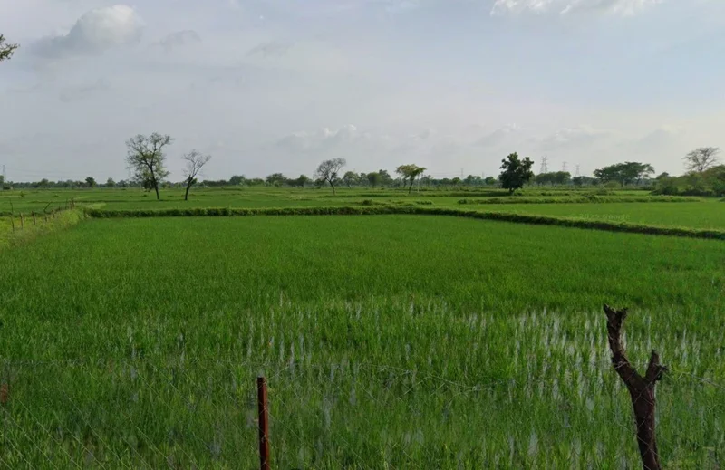 Ghutku, Chhattisgarh, India preview 2