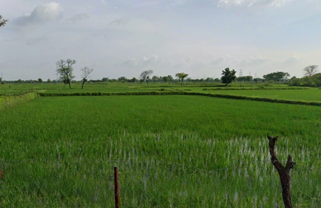 Ghutku, Chhattisgarh, India