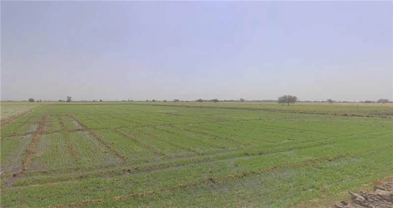 Varana, Gujarat 384245, India