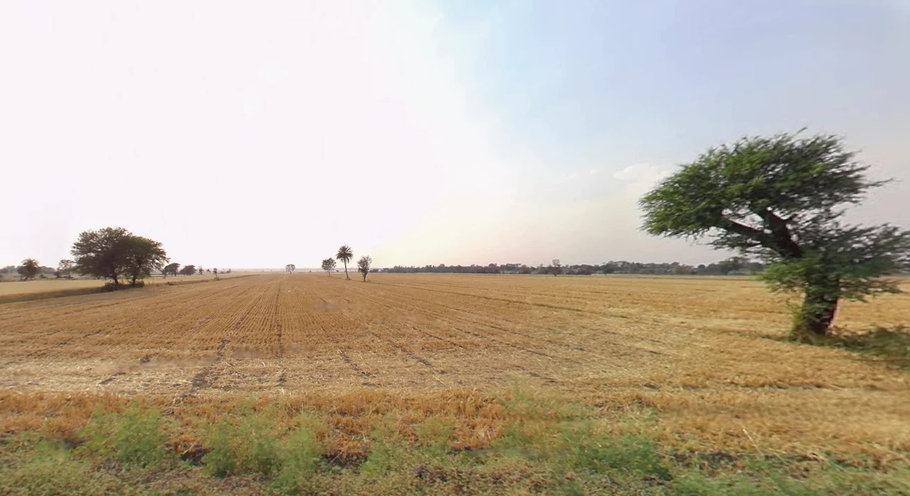 Delang, Odisha 752016, India