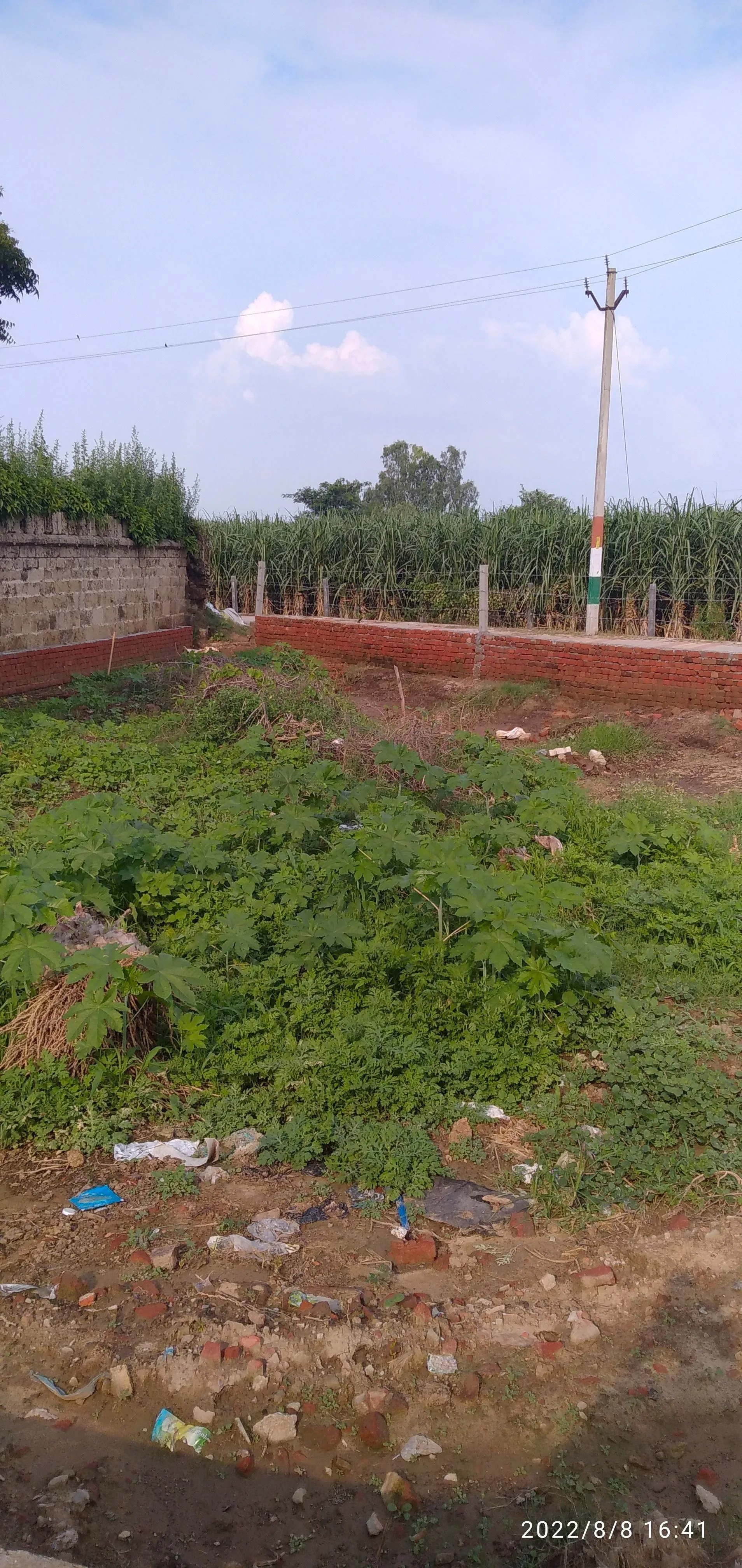 बेह्सुमा, उत्तर प्रदेश 250401, भारत