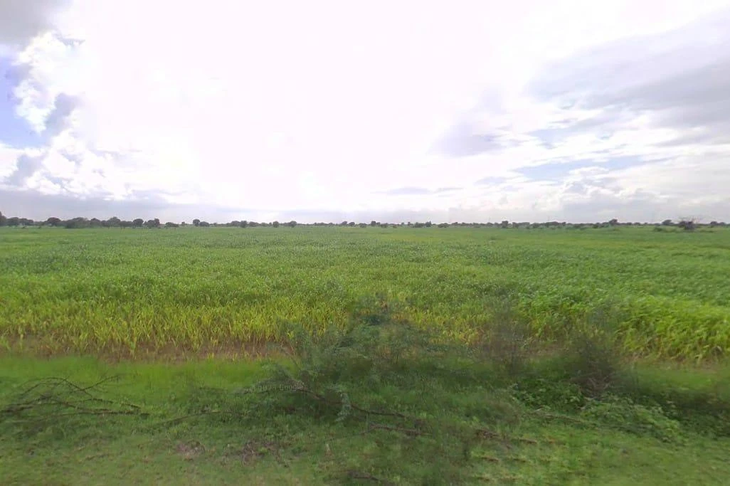 Awanidiya Sultaniya Phagi Rd, Phagi, Rajasthan 303005, India