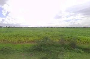 Awanidiya Sultaniya Phagi Rd, Phagi, Rajasthan 303005, India preview 3