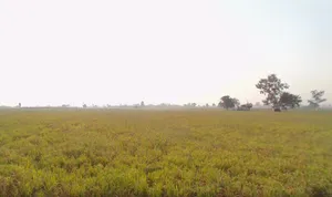 Patran, Punjab 140307, India preview 3