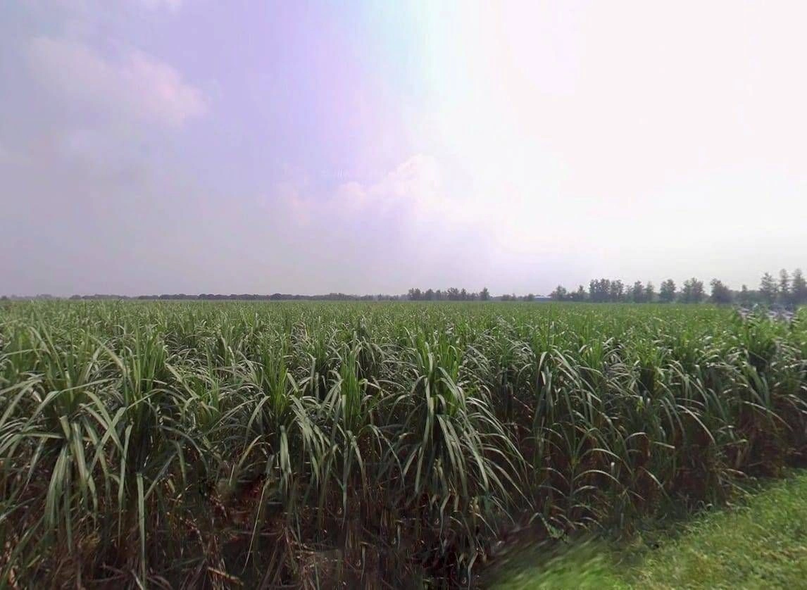 5Q3J+WXF, Mahalka, Uttar Pradesh 250222, India