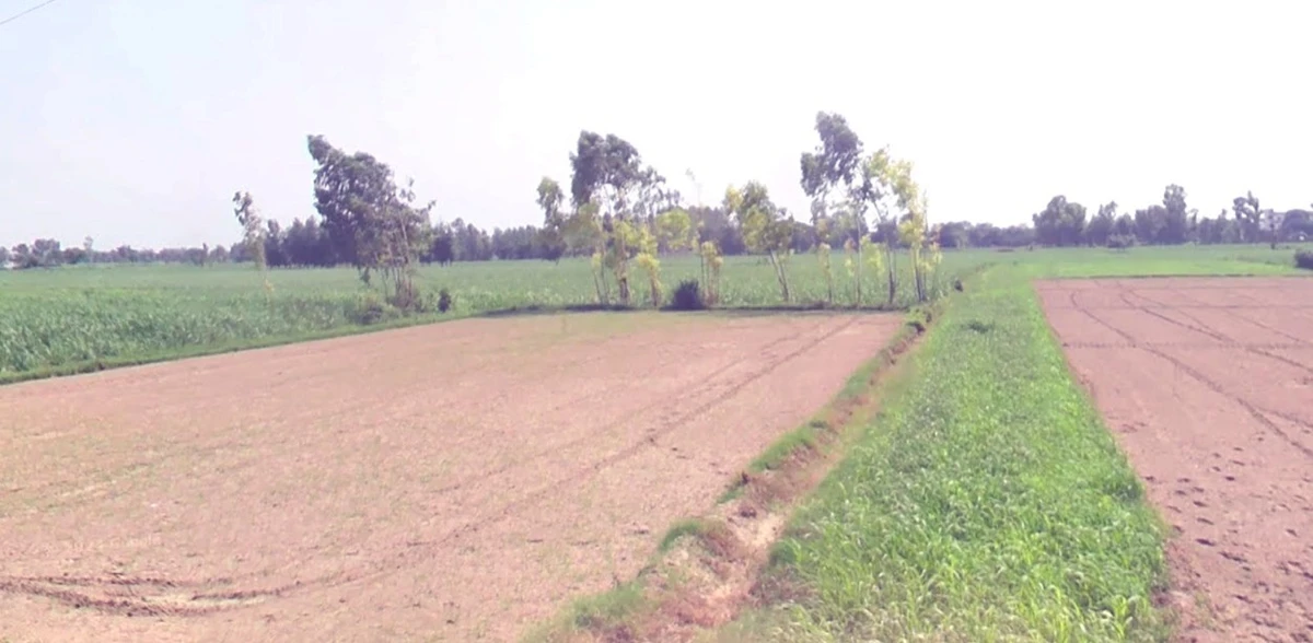 Kalariya, Madhya Pradesh 465447, India