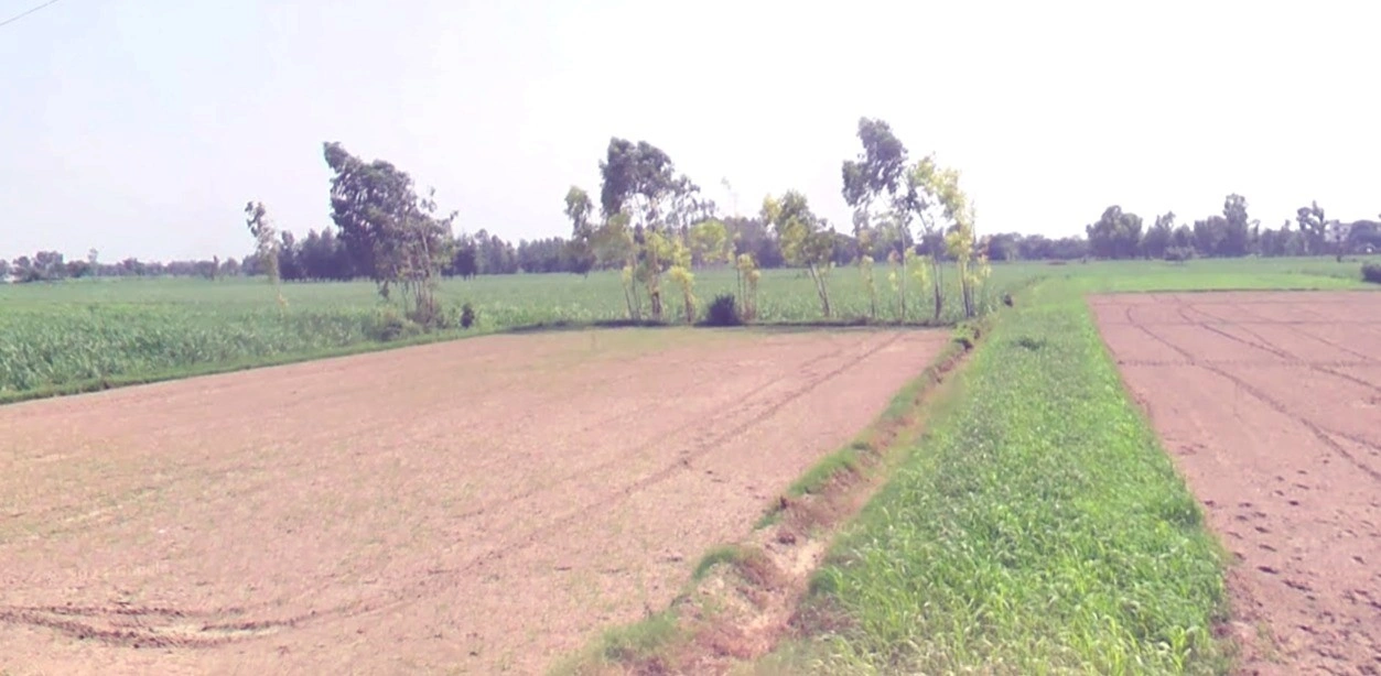 Kalariya, Madhya Pradesh 465447, India