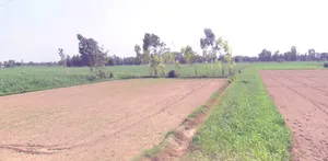 Kalariya, Madhya Pradesh 465447, India preview 3