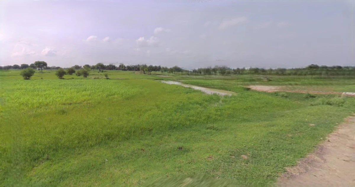 Jhajjar, Haryana 124103, India