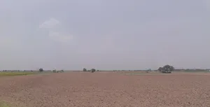 Solitaire Walk, Lodhi Club Road, adjoining Keys Hotel, Rajguru Nagar Extension Part-1, Rajguru Nagar, Ludhiana, Punjab 142022, India preview 3