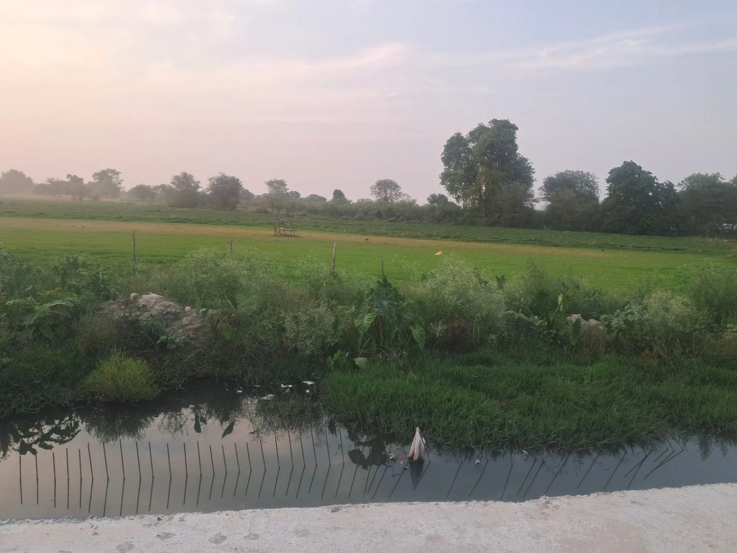 Q5MF+WP6, Kosi Parikrama Rd, Amanigunj, Faizabad, Uttar Pradesh 224001, India