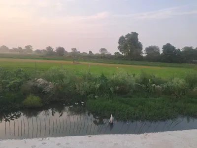 Q5MF+WP6, Kosi Parikrama Rd, Amanigunj, Faizabad, Uttar Pradesh 224001, India preview 3