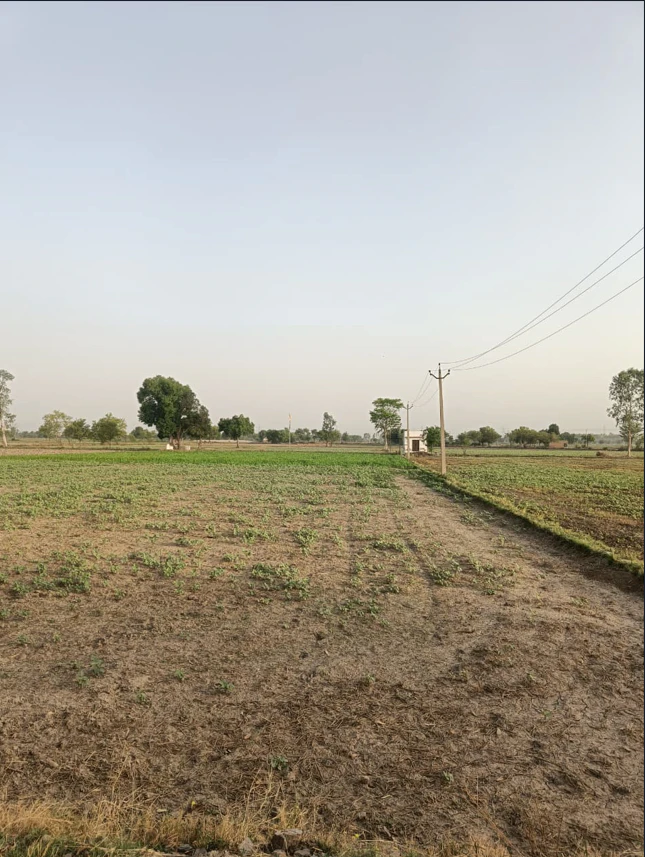 Mirapur, Uttar Pradesh, India