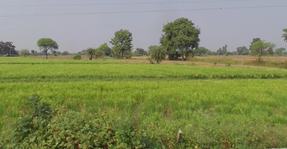 Mandideep, Bhopal, Madhya Pradesh 462046, India