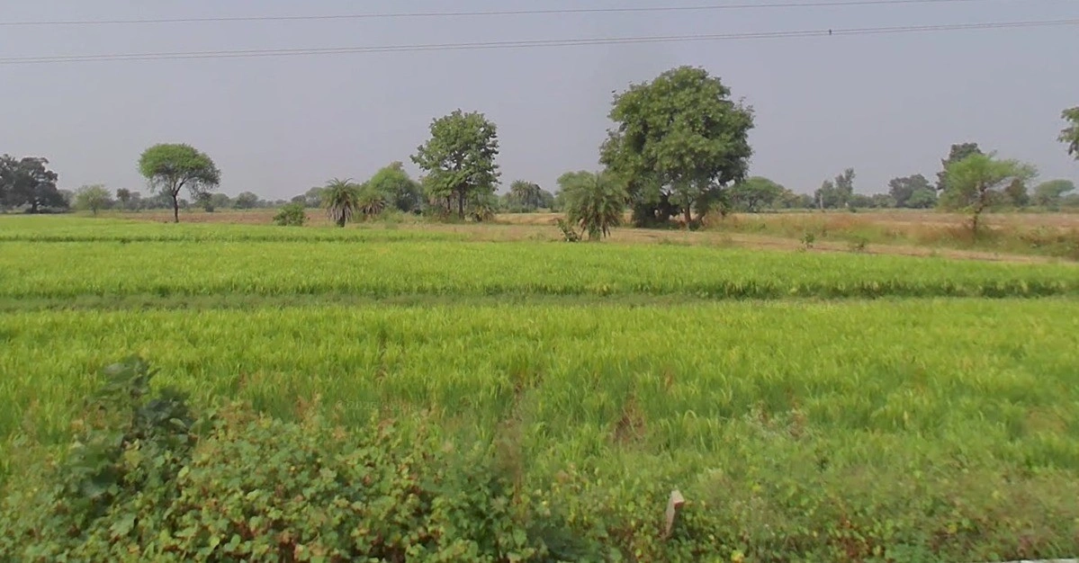 Mandideep, Bhopal, Madhya Pradesh 462046, India