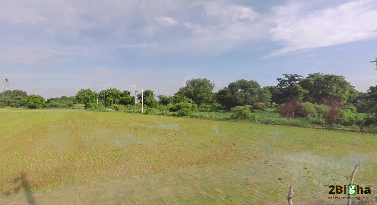 Suraiya Nagar, Madhya Pradesh, India