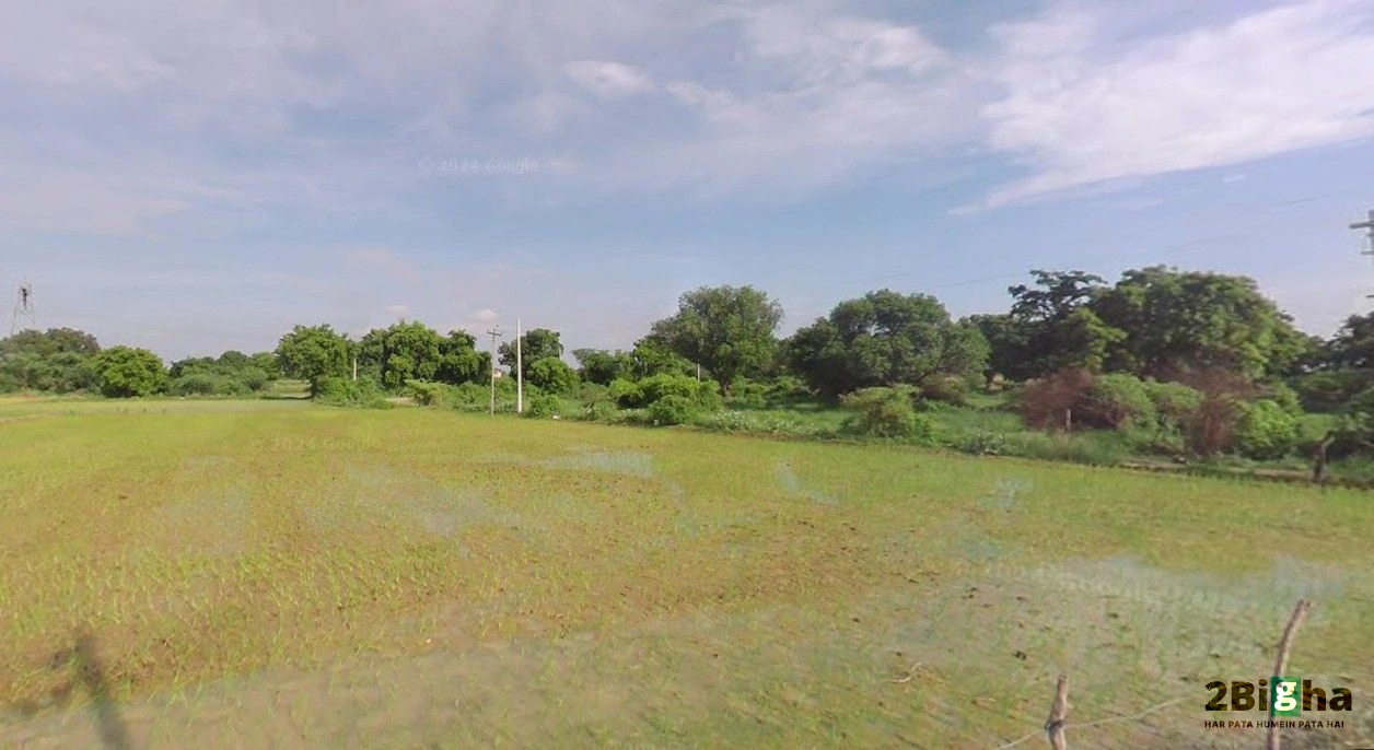 Suraiya Nagar, Madhya Pradesh, India