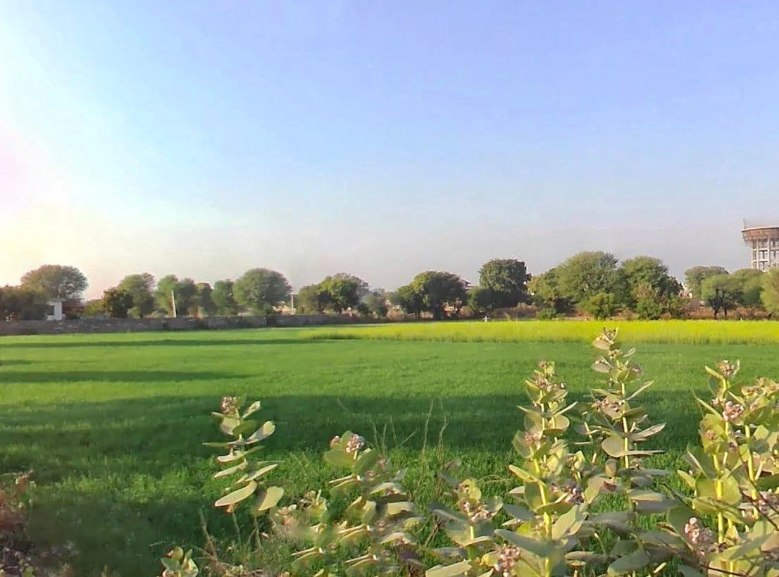 HF4G+W5J, Rundh Binak, Rajasthan 301001, India