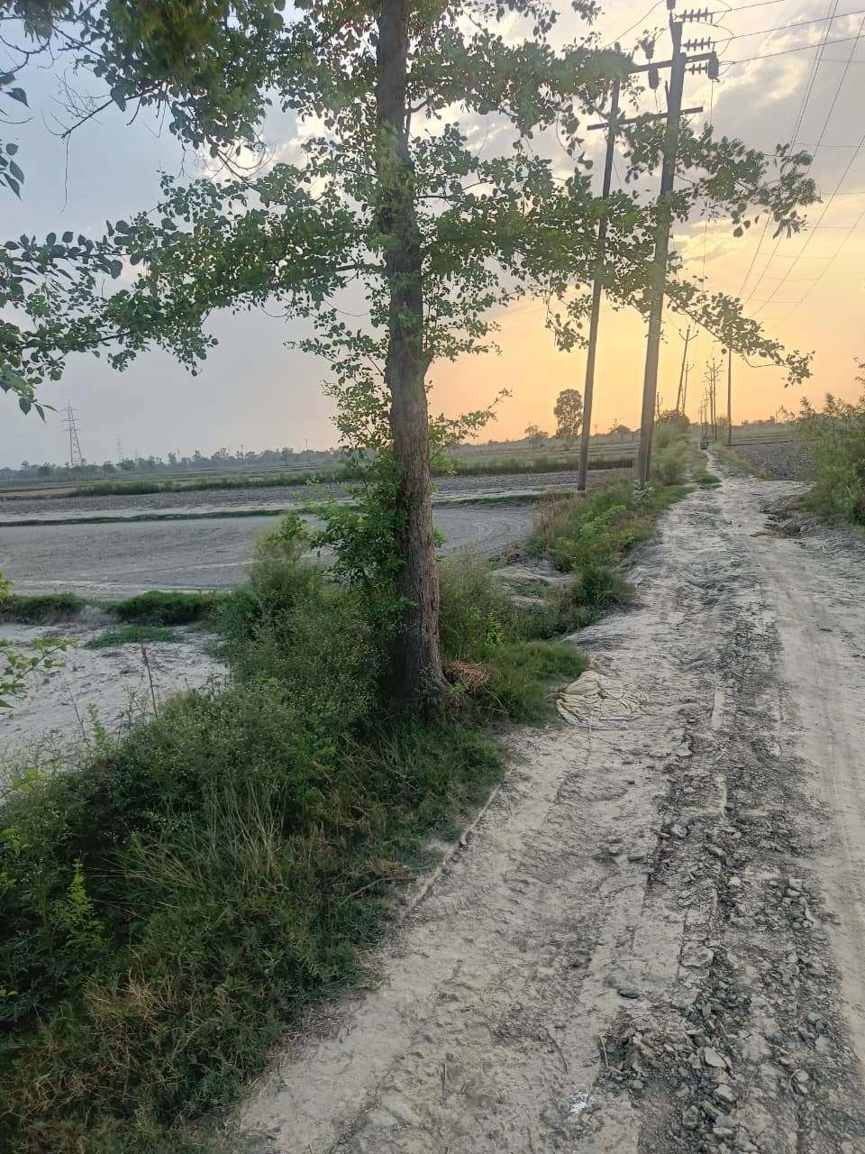 Sankhi, Uttar Pradesh 281401, India