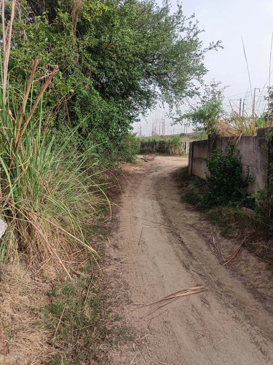 Aou, Rajasthan, India