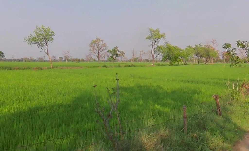 Kotni, Chhattisgarh 493441, India