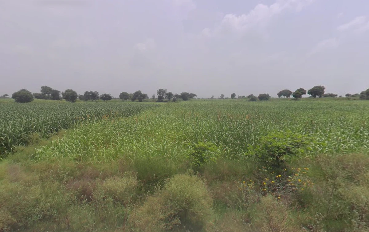 Khokiyaka, Haryana 121103, India