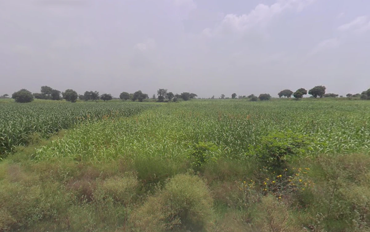 Khokiyaka, Haryana 121103, India