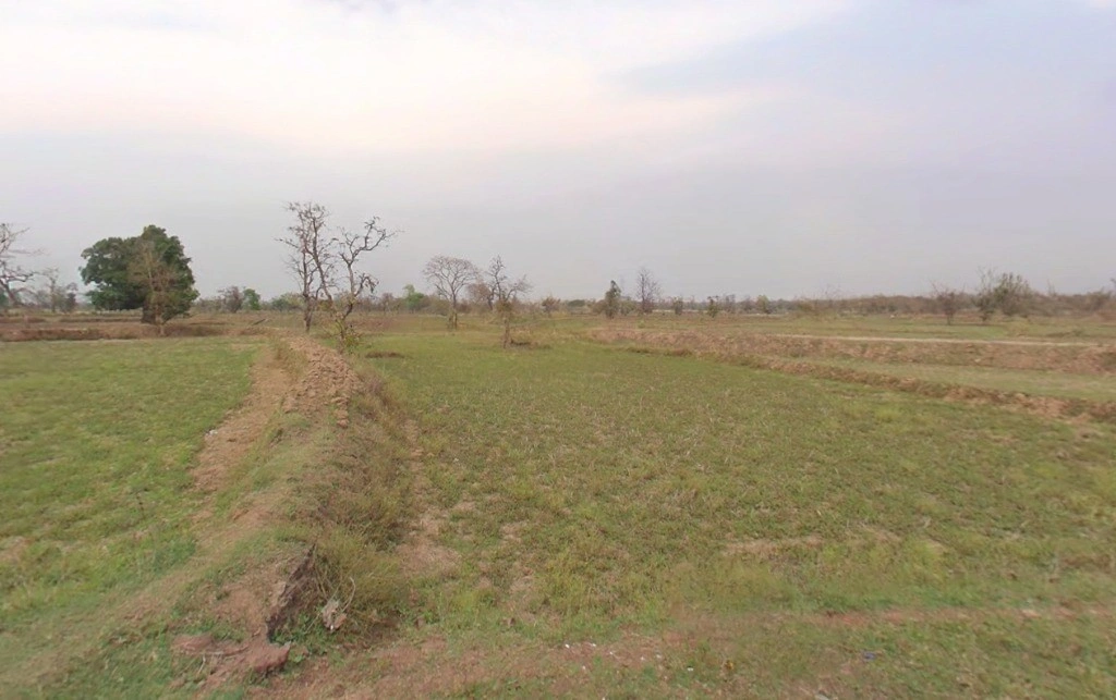 Doma-1, Chhattisgarh 493661, India