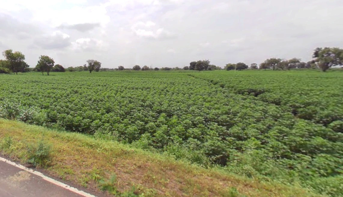 Borawan, Madhya Pradesh 451228, India