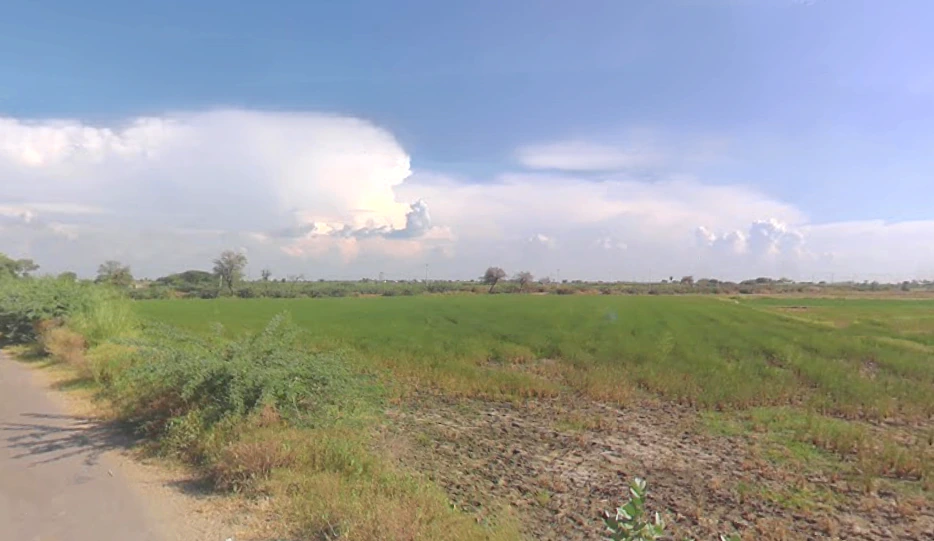 Chandeni, Haryana 122107, India