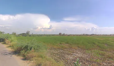 Chandeni, Haryana 122107, India preview 2