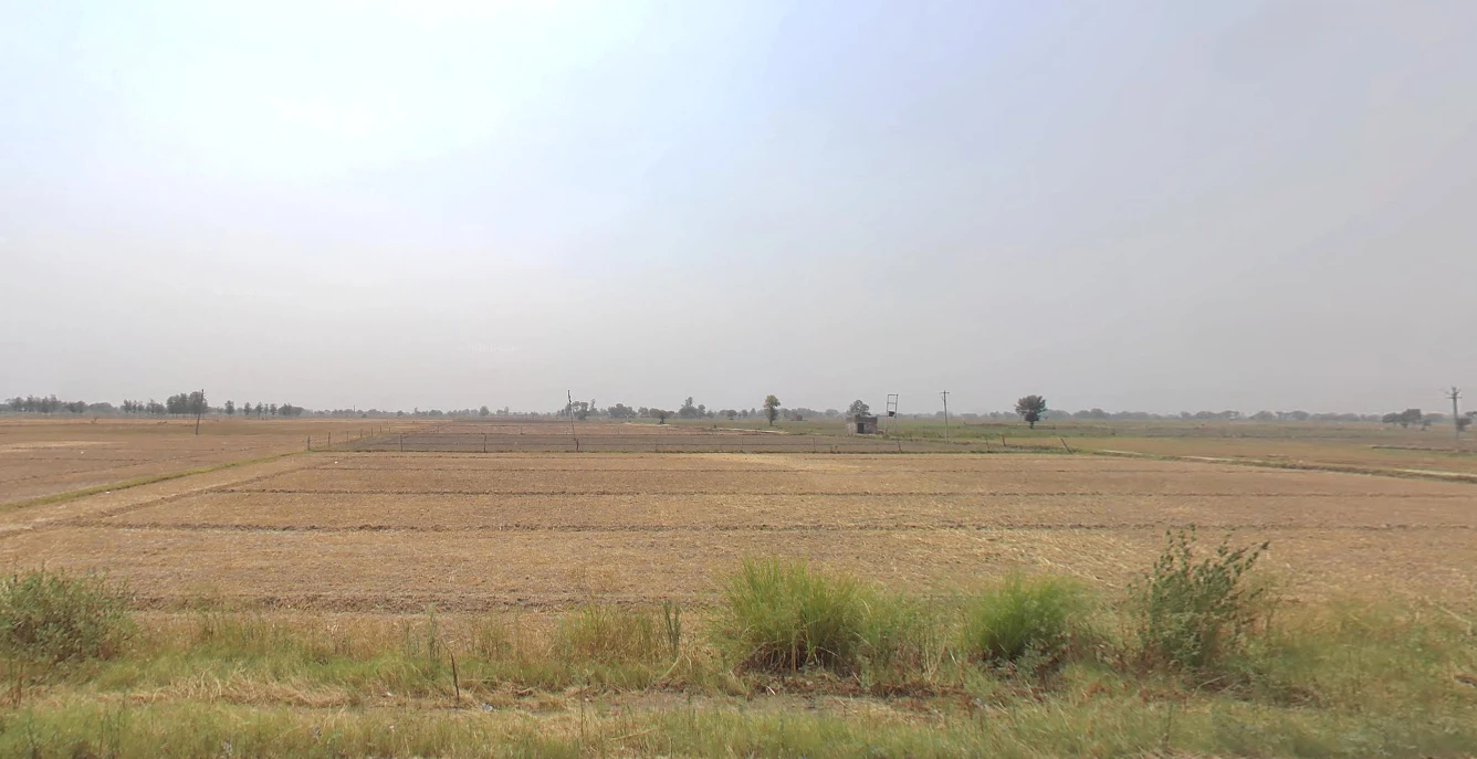 Shikarpur, Uttar Pradesh 203395, India