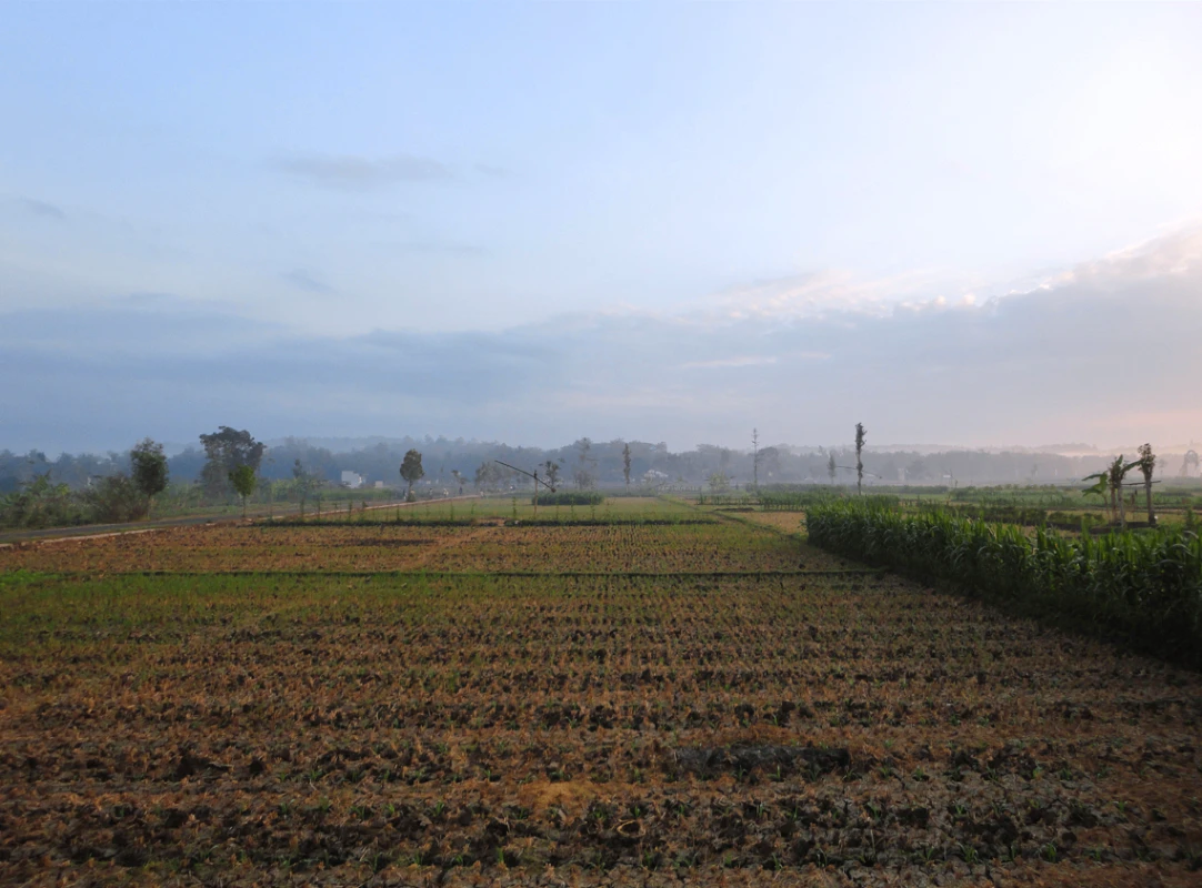 Saltora, West Bengal 722158, India