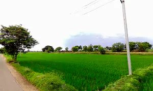 Makthal, Telangana 509208, India preview 3