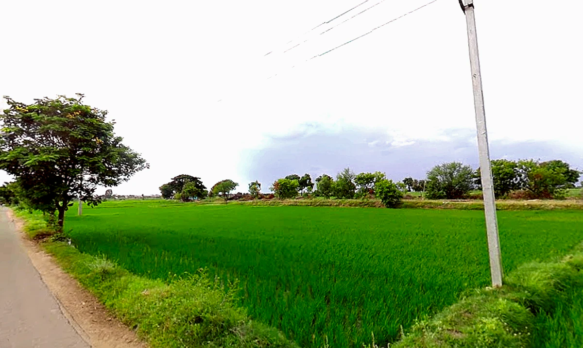 Makthal, Telangana 509208, India