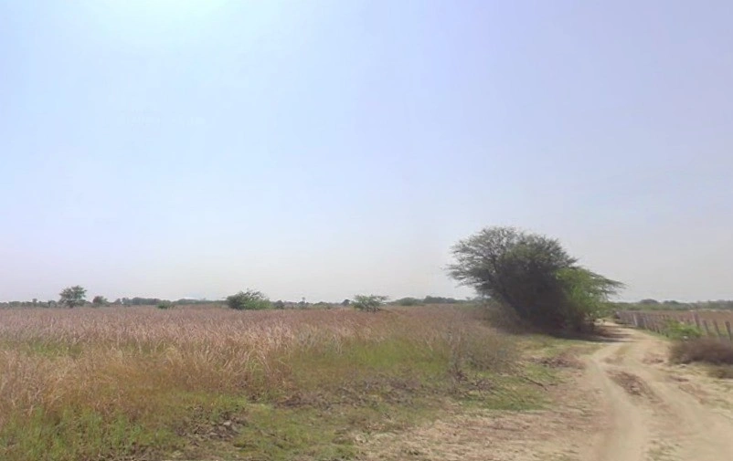 Chaksu, Rajasthan 303901, India