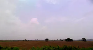 Billa, Haryana 134118, India preview 2