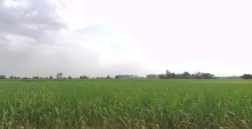 RH84+H5M, Meerut Rd, Modinagar, Uttar Pradesh 201204, India