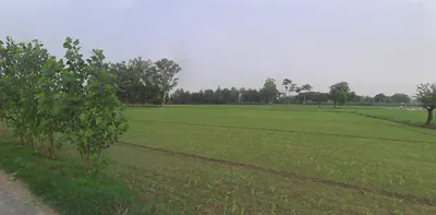 Mohanlalganj, Uttar Pradesh 226301, India preview 2