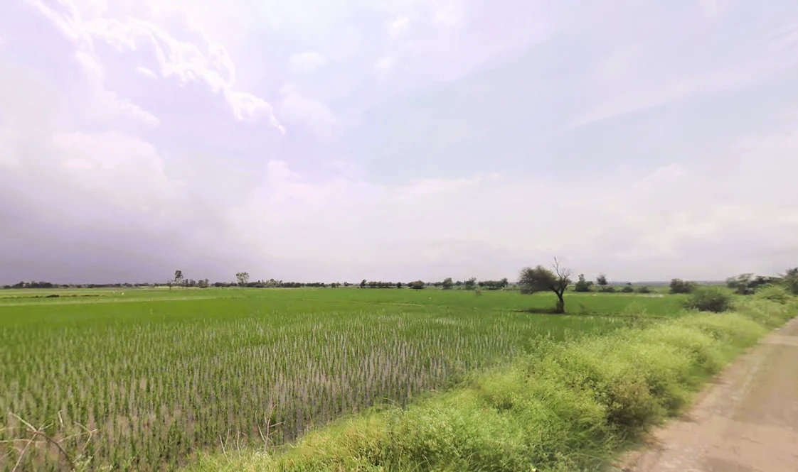 Pahrawar, Haryana 124021, India