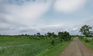 Amane, Chhattisgarh, India preview 3